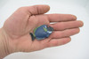 Surgeonfish, Tropical Powderblue Surgeonfish, Rubber Fish Design, Realistic Figure, Educational, Figure, Lifelike, Toy Model, Figurine, Replica, Gift,       2 1/4"      F3451 B48