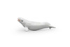 Beluga Whale, White whale, High Quality, Plastic, Hand Painted, Realistic, Figure, Model, Replica, Toy, Kids, Educational, Gift,     2 1/2" 