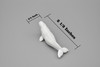 Beluga Whale, White whale, High Quality, Plastic, Hand Painted, Realistic, Figure, Model, Replica, Toy, Kids, Educational, Gift,     2 1/2" 