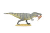 Tyrannosaurus rex, T. Rex, Dinosaur, with Prey Struthiomimus  10"    -    F3515 B88