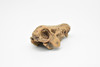 Daeodon, Terrible Pig Fossil Skull,  Very Nice Plastic Replica  2 1/4 inches long  F3520 B204