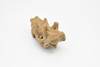 Uintatherium, Fossil Skull Toy, Realistic Plastic Reproduction   2"   F3523 B204