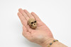 Australopithecus, Fossil Skull, Very Nice Plastic Replica     1 1/2" by 1 1/4"    F3524 B204