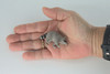 Raccoon, Very Nice Rubber Animal, Educational, Hand Painted, Realistic Figure, Lifelike Model, Figurine, Toy, Kids,  Gift,    2 1/2 Inches.   F3526 B138