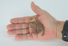 Moose, Very Nice Rubber Animal, Educational, Hand Painted, Realistic Figure, Lifelike Moose Design, Toy, Kids, Gift,     2 1/2 Inches.      F3533 B138