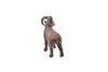 Bighorn Sheep, Very Nice Plastic Animal, Educational, Toy, Kids, Realistic Figure, Lifelike Model, Figurine, Replica, Gift,     1 3/4"     F3535 B138