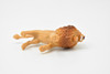 African Lion Small Plastic Animal 2 7/8 inches long including tail 1 1/2 inches tall - F3550 B17