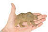 REAL SIZE IN THE HAND