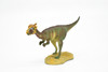 Pachycephalosaurus Dinosaur, Museum Quality Plastic Replica    5"    F3612 B228