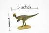 Pachycephalosaurus Dinosaur, Museum Quality Plastic Replica    5"    F3612 B228