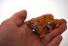 Tiger Cub, Museum Quality Plastic Replica  3 inches long - F3628 B156