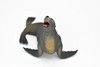 Sea Lion, Museum Quality Plastic Replica     4 1/2"   -   F3642 B78