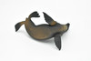 Sea Lion, Museum Quality Plastic Replica     4 1/2"   -   F3642 B78
