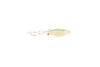 Glass Squid, Clear Color, Very Nice Plastic Replica, Educational, Realistic, Figure, Lifelike Figurine, Replica, Gift,       3 1/2"  