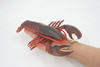 Lobster, East Coast, Maine, Red, Hard Rubber Crustaceans, Educational, Figure, Lifelike, Model, Replica, Gift,     9"  F4070 B91