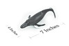 Humpback Whale, Realistic Toy Model Plastic Replica Animal, Kids Educational Gift  7"   F4075 B54