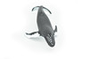 Humpback Whale, Realistic Toy Model Plastic Replica Animal, Kids Educational Gift  7"   F4075 B54