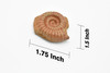 Ammonite Fossil, Very Nice Plastic Replica 1 3/4 inches across - F4098 B96