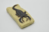 Sea Scorpion Fossil, Realistic Plastic Reproduction    2"    F4101L B96