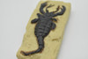 Sea Scorpion Fossil, Realistic Plastic Reproduction    2"    F4101L B96