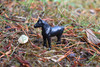 Horse, Black Plastic Toy Animal, Realistic Figure, Farm Model, Barnyard Replica, Kids Educational Gift  2"  F4159 B140