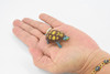 Turtle, Box Turtle, Tortoise, Rubber Reptile, Educational, Realistic, Hand Painted, Figure, Lifelike Model, Figurine, Replica,     2 Inches.