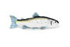 Atlantic Salmon, Very Nice Plush Fish, Stuffed Animal, Educational, Toy, Kids, Realistic Figure, Gift,          17" 