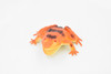 Frog, Orange Frog, Toad, Rubber Toy, Realistic, Rainforest, Figure, Model, Replica, Kids, Educational, Gift,      3"     F6089 B3