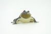 Frog, Black Frog, Toad, Rubber Toy, Realistic, Rainforest Amphibian, Figure, Model, Replica, Kids, Educational, Gift,     3"    F6091 B3