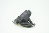 Frog, Black Frog, Toad, Rubber Toy, Realistic, Rainforest Amphibian, Figure, Model, Replica, Kids, Educational, Gift,     3"    F6091 B3
