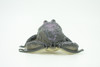 Frog, Black Frog, Toad, Rubber Toy, Realistic, Rainforest Amphibian, Figure, Model, Replica, Kids, Educational, Gift,     3"    F6091 B3
