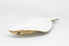 Halibut, Flat Fish, Very Nice Plush Fish, Stuffed Animal, Educational, Toy, Kids, Realistic Figure, Gift,       17"     F2419 BB59