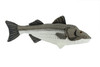 Striped Bass, Striper, Line Sider, Linesider, Very Nice Plush Fish, Stuffed Animal, Educational, Toy, Kids, Realistic Figure, Gift,     17" 