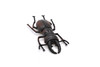 Stag Beetle, Lucanus cervus, Realistic Rubber Model, Bug, Insect, Educational, Hand Painted, Figure, Lifelike, Model, Figurine, Replica, Toy, 2 3/4 Inches  