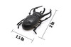 Rhinoceros Beetle, Very Nice Rubber Reproduction    2 3/4"    CWG04 B13