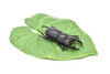 Stag Beetle, Very Nice Rubber Reproduction     3"     CWG05 B13