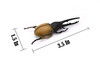 Hercules Beetle, Very Nice Rubber Reproduction     3"      CWG10 B13