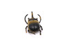 Elephant Beetle, Very Nice Rubber Reproduction     3"      CWG11 B13