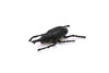 Elephant Beetle, Very Nice Rubber Reproduction     2"      CWG12 B13