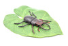Stag Beetle, Lucanus cervus, Realistic Rubber Model, Bug, Insect, Educational, Hand Painted, Figure, Lifelike, Model, Figurine, Replica, Toy, 3 Inches  