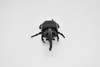 Hercules Beetle, Very Nice Rubber Reproduction     3"      CWG14 B13