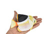Butterflyfish, Tinkers, Tropical Fish Magnet, Fish Design, Realistic Figure, Educational, Figure, Lifelike, Model, Figurine, Replica,   5 1/2 Inches. 