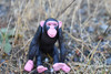 Chimpanzee, Chimp, Monkey, Moveable Limbs, Plastic Toy Animal, Kids Gift, Realistic Figure, Educational Model, Replica,    3"    F062 B193