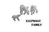 Elephant Family, Set of 3, Very Nice Rubber Design, Educational, Realistic Figure, Lifelike, Replica, Toy, Kids, Gift,     2 1/2 Inches. 