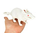 REAL SIZE IN THE HAND
