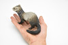 Ferret, Realistic Small Toy Model Plastic Replica African Animal, Kids Educational Gift   6"   F1353 B609