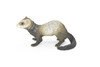 Ferret, Realistic Small Toy Model Plastic Replica African Animal, Kids Educational Gift   6"   F1353 B609