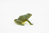 Frog, Green Bull Frog, Very Nice Plastic Design, Educational, Diorama, Realistic Figure, Lifelike, Replica, Toy, Kids, Gift,   1 1/2 Inches.    CWG18 B47