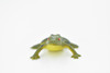 Frog, Green Bull Frog, Very Nice Plastic Design, Educational, Diorama, Realistic Figure, Lifelike, Replica, Toy, Kids, Gift,   1 1/2 Inches. 