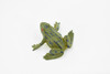 Frog, Green Bull Frog, Very Nice Plastic Design, Educational, Diorama, Realistic Figure, Lifelike, Replica, Toy, Kids, Gift,   1 1/2 Inches.    CWG18 B47